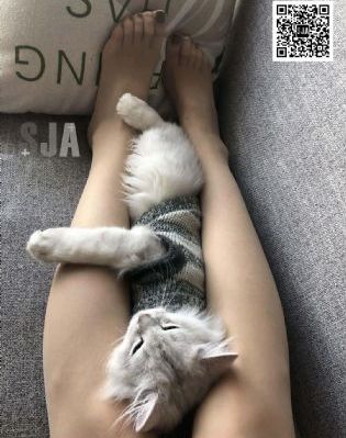 少妇人妻好深好紧精品无码_蓝光完整在线观看