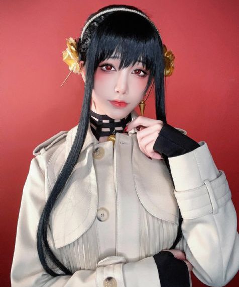 免费专区_HD视频大全