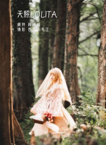 视频二区精品中文字幕在线观看_剧情片在线观看